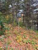 LOT 23 CON 3 SEBASTOPOL | Eganville Ontario | Slide Image Thirty-three