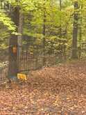 LOT 23 CON 3 SEBASTOPOL | Eganville Ontario | Slide Image Forty-six