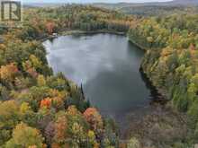 LOT 23 CON 3 SEBASTOPOL | Eganville Ontario | Slide Image Six
