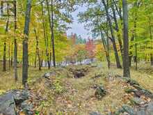 28 JOSEPH STREET | Port Carling Ontario | Slide Image Sixteen