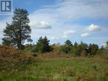 LT 27 PTS 2&3 COUNTY ROAD 10 | Prince Edward Ontario | Slide Image Nine