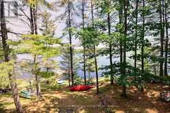 8 ISLAND 1RL ISLAND | Gravenhurst Ontario | Slide Image Twenty-three