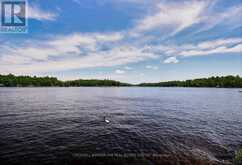 8 ISLAND 1RL ISLAND | Gravenhurst Ontario | Slide Image Thirty