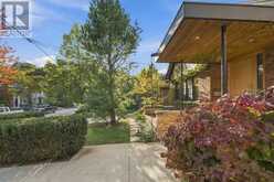 16 SUNNYBROOK ROAD | Toronto Ontario | Slide Image Five