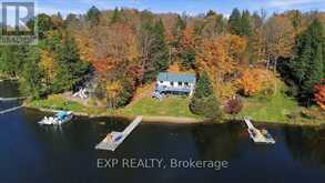 56 GILMOUR POINT ROAD | Apsley Ontario | Slide Image One