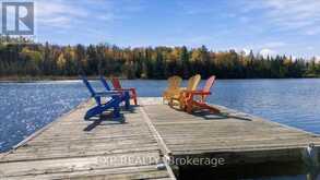 56 GILMOUR POINT ROAD | Apsley Ontario | Slide Image Three