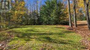 56 GILMOUR POINT ROAD | Apsley Ontario | Slide Image Nine
