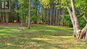32 SLALOM GATE ROAD | Collingwood Ontario | Slide Image Three