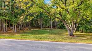32 SLALOM GATE ROAD | Collingwood Ontario | Slide Image Four