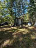 1141 TURTLE LAKE ROAD | Gravenhurst Ontario | Slide Image Twelve