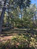 1141 TURTLE LAKE ROAD | Gravenhurst Ontario | Slide Image Thirteen