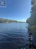 1141 TURTLE LAKE ROAD | Gravenhurst Ontario | Slide Image Fifteen