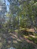 1141 TURTLE LAKE ROAD | Gravenhurst Ontario | Slide Image Sixteen