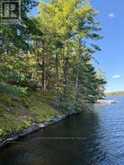 1141 TURTLE LAKE ROAD | Gravenhurst Ontario | Slide Image Seventeen