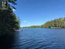 1141 TURTLE LAKE ROAD | Gravenhurst Ontario | Slide Image Eighteen