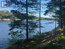 1141 TURTLE LAKE ROAD | Gravenhurst Ontario | Slide Image Eight