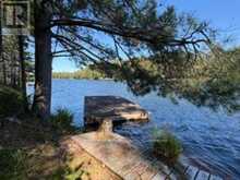 1141 TURTLE LAKE ROAD | Gravenhurst Ontario | Slide Image Nine
