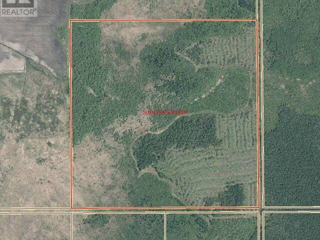 0 WILSON CREEK ROAD Rainy River Ontario, P0W 1L0 - Vacant Land For Sale