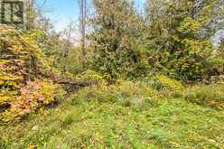 150 AMANDA STREET | Waubaushene Ontario | Slide Image Nine