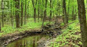 LOT 1 COLONIAL ROAD | Minden Hills Ontario | Slide Image One