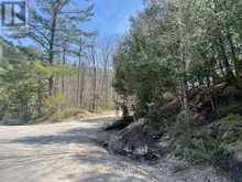 LOT 1 COLONIAL ROAD | Minden Hills Ontario | Slide Image Two
