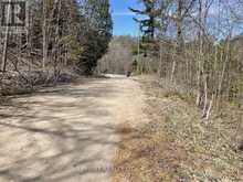 LOT 1 COLONIAL ROAD | Minden Hills Ontario | Slide Image Three