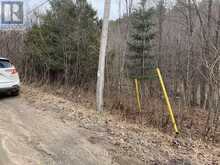 LOT 1 COLONIAL ROAD | Minden Hills Ontario | Slide Image Four
