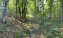 LOT 1 COLONIAL ROAD | Minden Hills Ontario | Slide Image Six