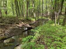 LOT 1 COLONIAL ROAD | Minden Hills Ontario | Slide Image Seven