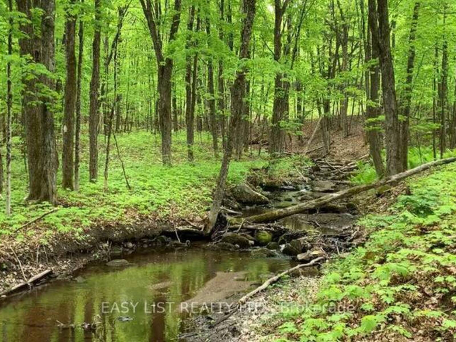 LOT 1 COLONIAL ROAD, Minden Hills, Ontario K0M 2K0