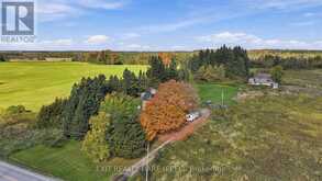 385169 20TH SIDE ROAD | Amaranth Ontario | Slide Image Eight
