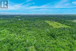 22262 HIGHWAY 48 | East Gwillimbury Ontario | Slide Image Seven