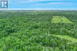 22262 HIGHWAY 48 | East Gwillimbury Ontario | Slide Image Eight