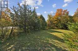 5649 25 SIDE ROAD | Milton Ontario | Slide Image Fourteen