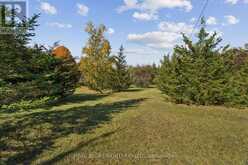 5649 25 SIDE ROAD | Milton Ontario | Slide Image Fifteen