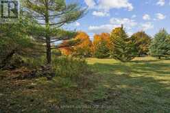 5649 25 SIDE ROAD | Milton Ontario | Slide Image Twenty-one