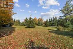 5649 25 SIDE ROAD | Milton Ontario | Slide Image Twenty-three
