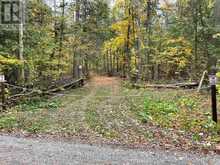 0 LITTLE SILVER LAKE ROAD | Bobcaygeon Ontario | Slide Image One