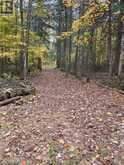 0 LITTLE SILVER LAKE ROAD | Bobcaygeon Ontario | Slide Image Two