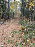 0 LITTLE SILVER LAKE ROAD | Bobcaygeon Ontario | Slide Image Five
