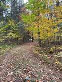 0 LITTLE SILVER LAKE ROAD | Bobcaygeon Ontario | Slide Image Seven