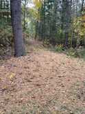 0 LITTLE SILVER LAKE ROAD | Bobcaygeon Ontario | Slide Image Eight
