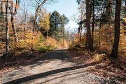 UNIT 11 LOT 5 - 1310 CAMEL LAKE ROAD | Bracebridge Ontario | Slide Image Ten