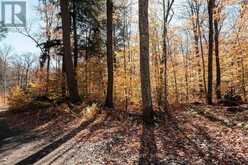 UNIT 11 LOT 5 - 1310 CAMEL LAKE ROAD | Bracebridge Ontario | Slide Image Eleven