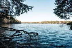 UNIT 11 LOT 5 - 1310 CAMEL LAKE ROAD | Bracebridge Ontario | Slide Image One