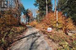 UNIT 11 LOT 5 - 1310 CAMEL LAKE ROAD | Bracebridge Ontario | Slide Image Seven