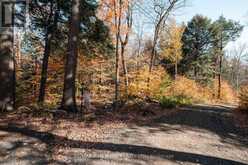 UNIT 11 LOT 5 - 1310 CAMEL LAKE ROAD | Bracebridge Ontario | Slide Image Nine