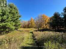 595343 BLINDLINE ROAD | Mono Ontario | Slide Image Twenty-three