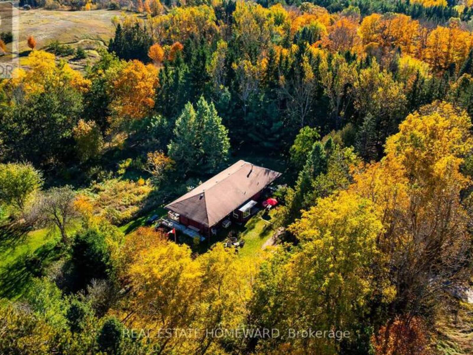 595343 BLINDLINE ROAD, Mono, Ontario L0N 1S5