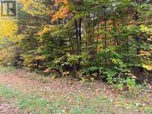 PT LT 26 CON A LOGGERS ROAD | Head, Clara and Maria Ontario | Slide Image Four